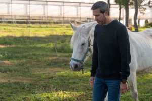 Coaching sistémico asistido con caballos